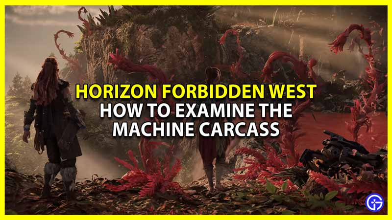how to examine the machine carcass in horizon forbidden west