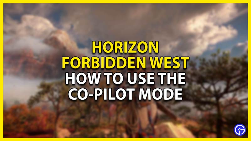 how to use the co-pilot settings in horizon forbidden west