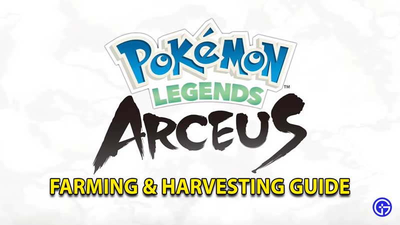pokemon-legends-arceus-farming-harvest-farm-crop-jubilife