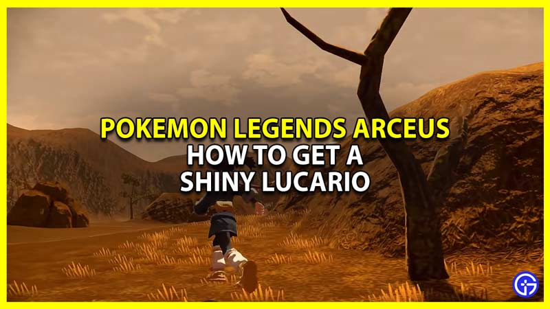 how to get a shiny lucario in pokemon legends arceus