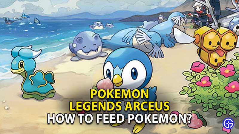 pokemon-legends-arceus-how-to-feed-pokemon-feeding-food
