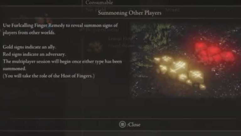 Can't See Friends Summon Sign In Elden Ring Fix Latest Game Stories