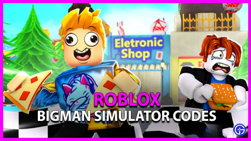 Bigman Simulator Codes (March 2022)