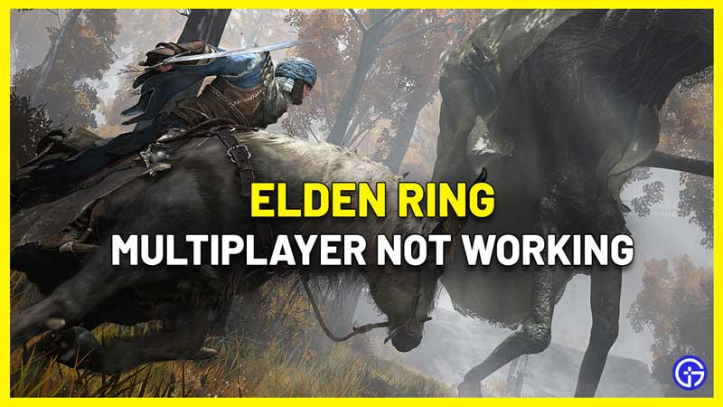 Elden Ring Multiplayer Not Working Fix