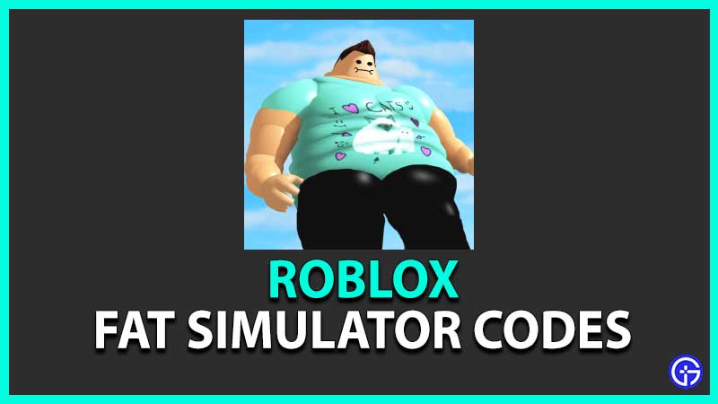 Fat Simulator Codes