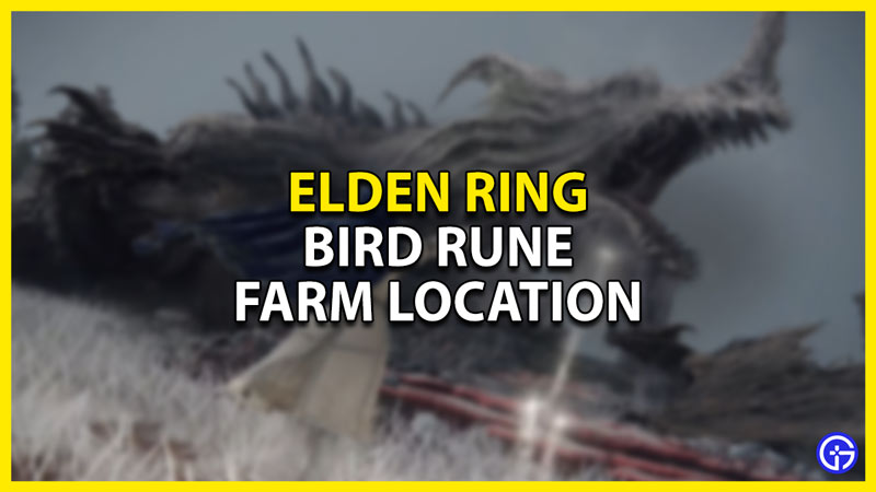 bird rune farming location in elden ring