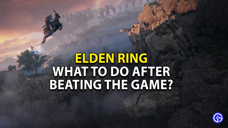 What To Do After Beating Elden Ring? Gamer Tweak