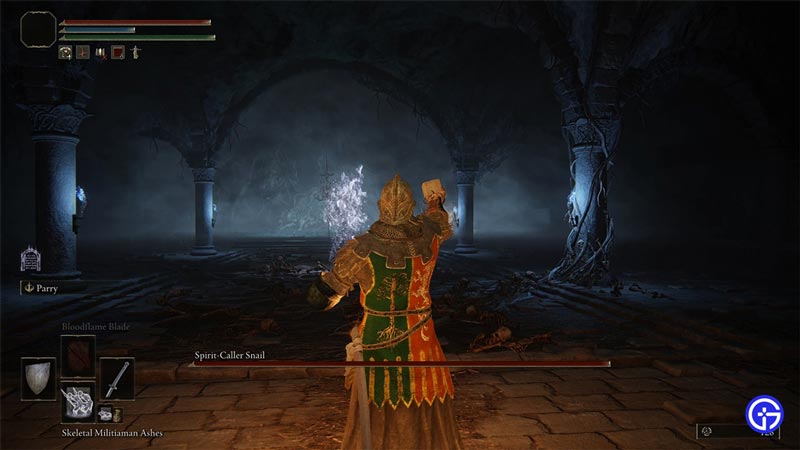 how to fix can't summon spirits in elden ring