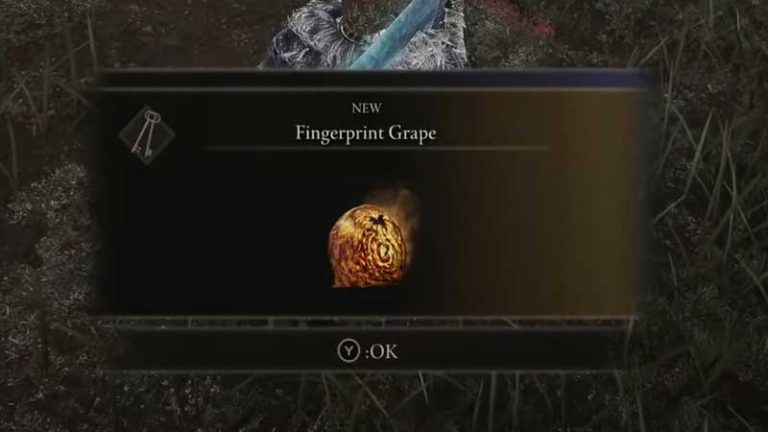 How To Complete The Hyetta Quest In Elden Ring?