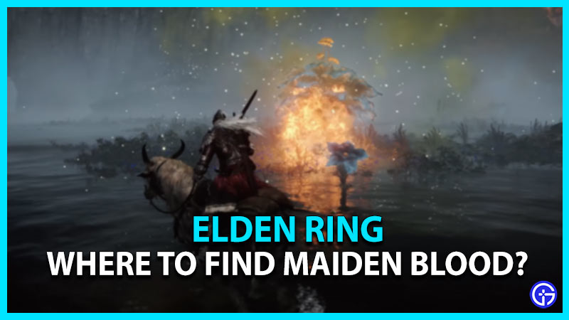 where to find maiden blood