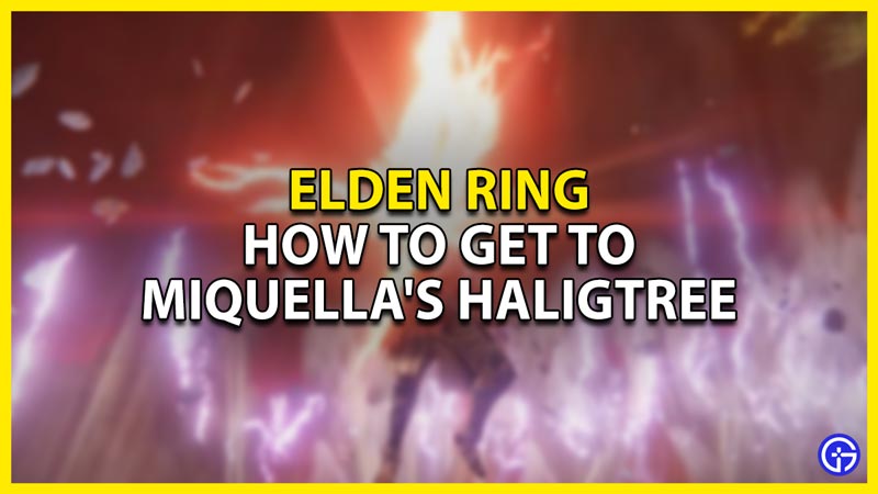 How To Get To Miquella's Haligtree In Elden Ring? Gamer Tweak