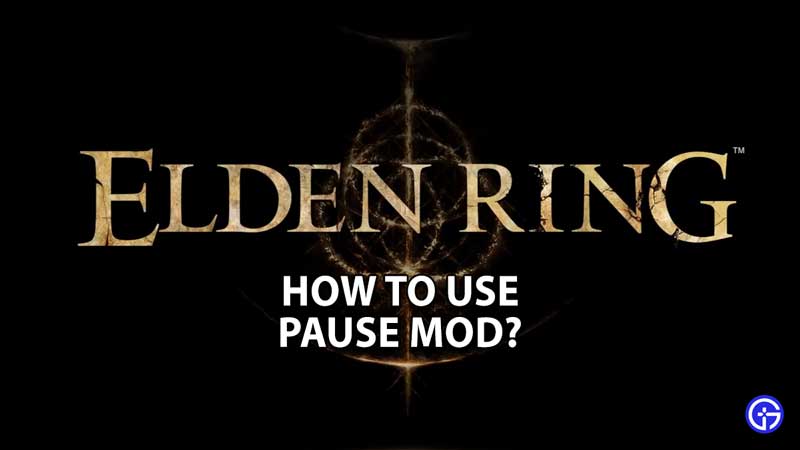 how-to-use-pause-mod-elden-ring-get-guide