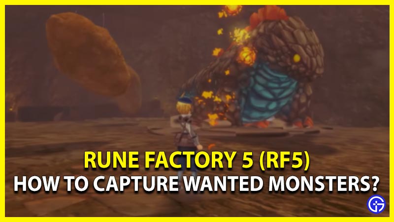 rune factory 5 how to capture wanted monsters rf5 rune factory 5