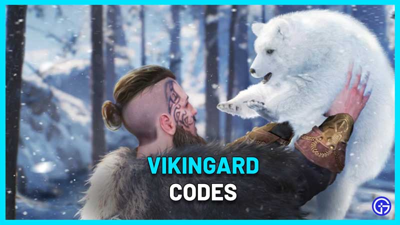 Vikingard codes