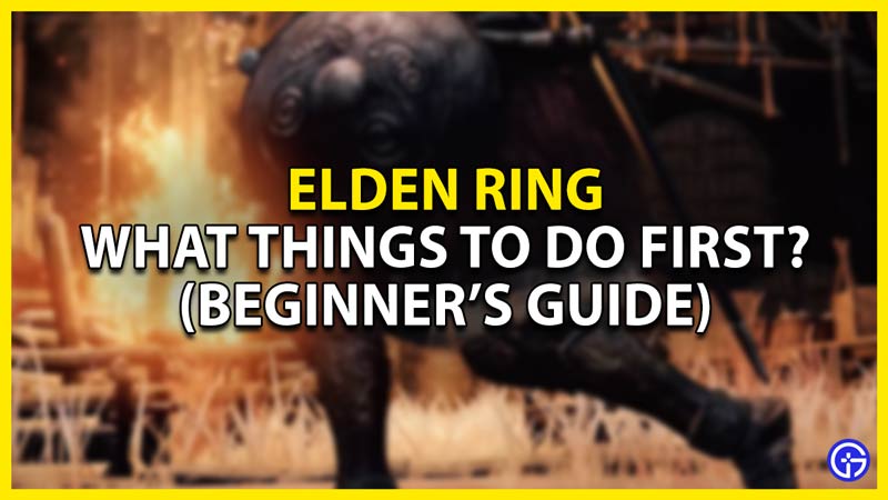 what things you should do first in elden ring