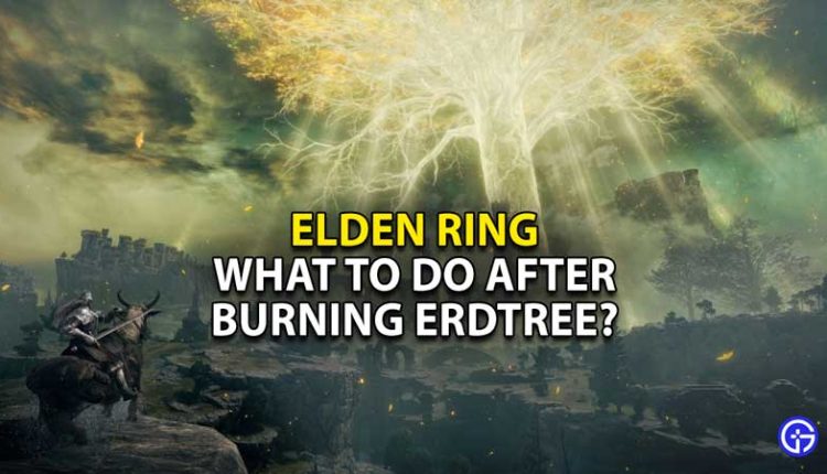 Elden Ring Strategy Guide - Page 39 of 69 - Gamer Tweak