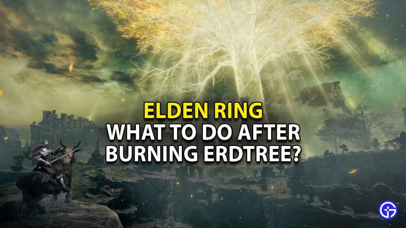 what-to-do-after-burning-erdtree-in-elden-ring-guide