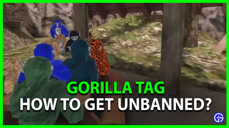 How To Get Unbanned From Gorilla Tag