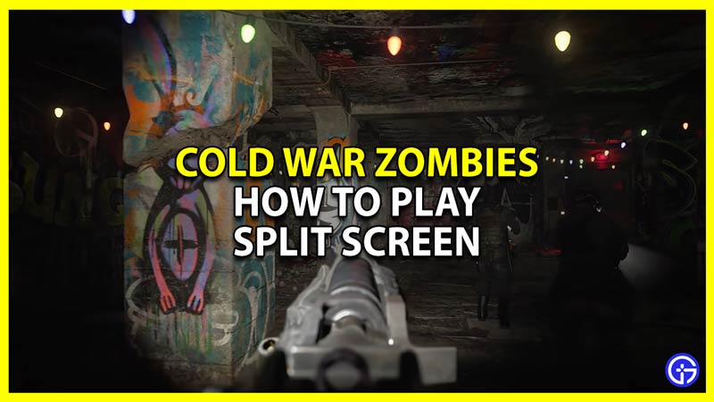How to Play Split Screen in COD Black Ops Cold War & Change Orientation to  Vertical (Easy Method!) 
