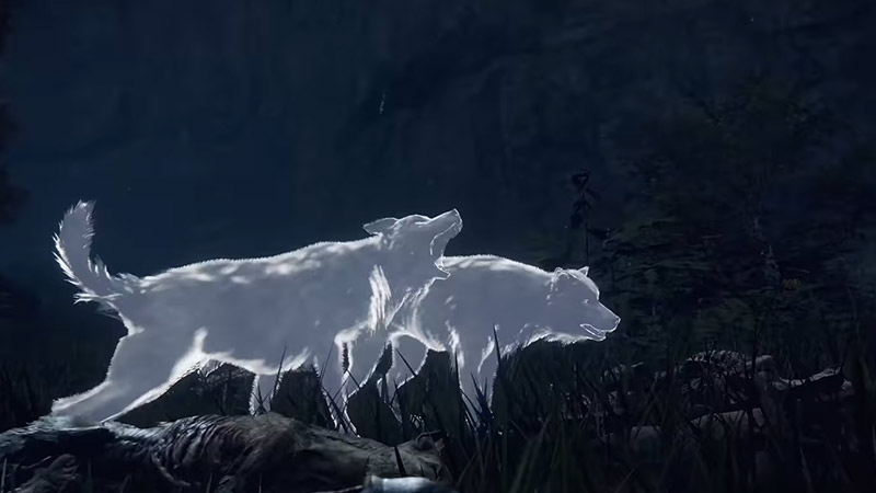 elden ring cant summon wolves
