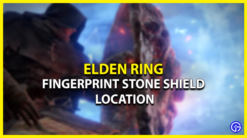 fingerprint stone shield location