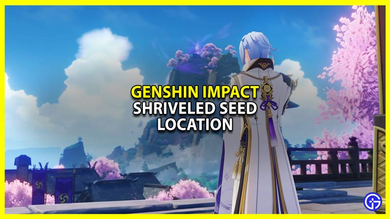 genshin impact shriveled seed location where to find