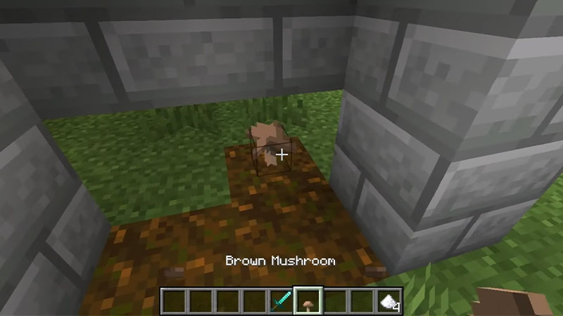 minecraft how to get brown mushrooms