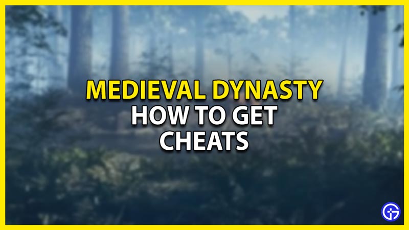 how to get cheats in medieval dynasty