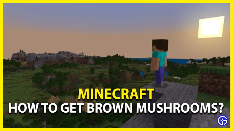 minecraft get brown mushrooms