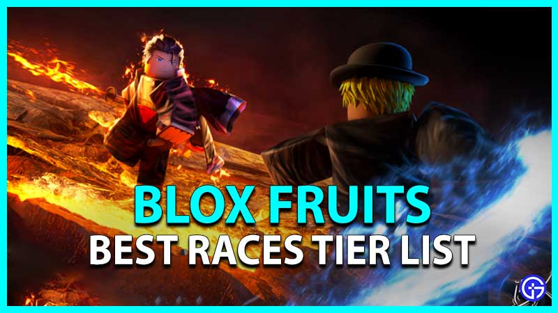 What Is The Best Race Blox Fruits