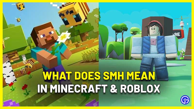what does smh mean minecraft roblox