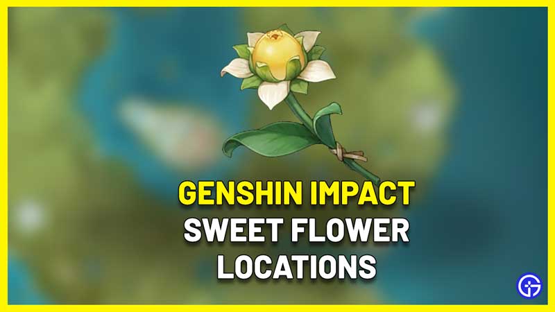 genshin impact sweet flower locations