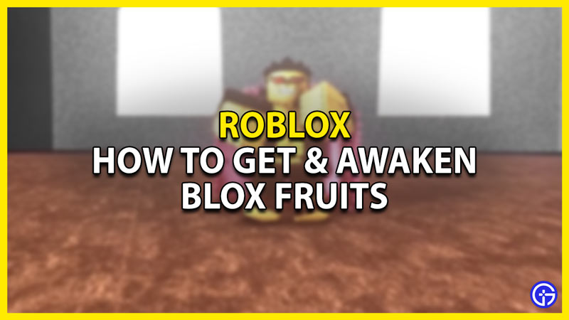 how to get & awaken blox fruits roblox