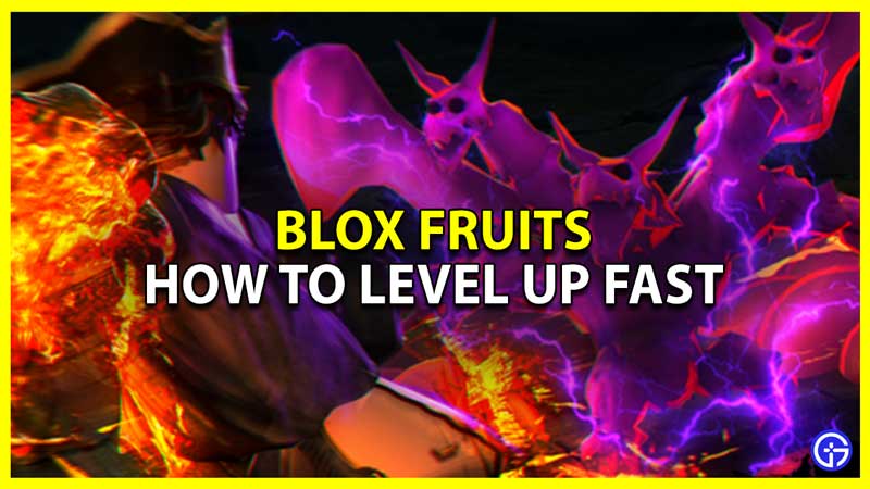 blox fruits level up guide