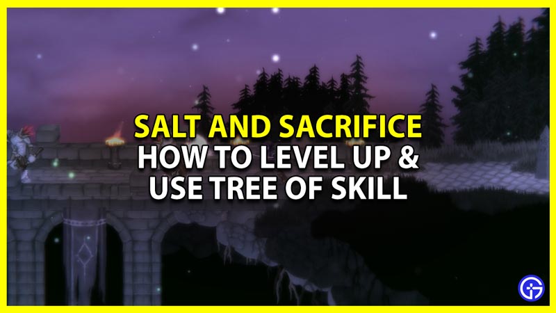 salt and sacrifice level up and use tree of skill