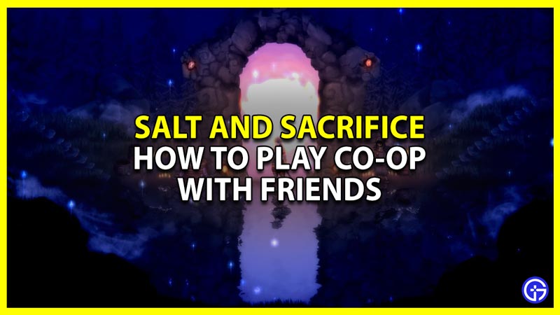 salt and sacrifice co-op guide