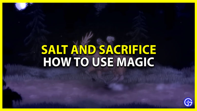 how to use magic in salt and sacrifice
