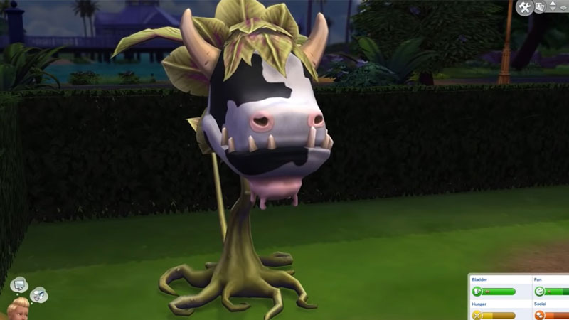 how to grow a cowplant in sims 4