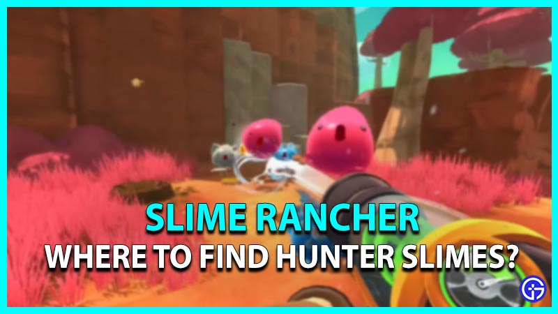 where to find hunter slimes slime rancher