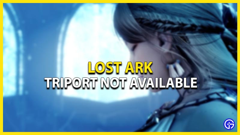 lost ark triport not available