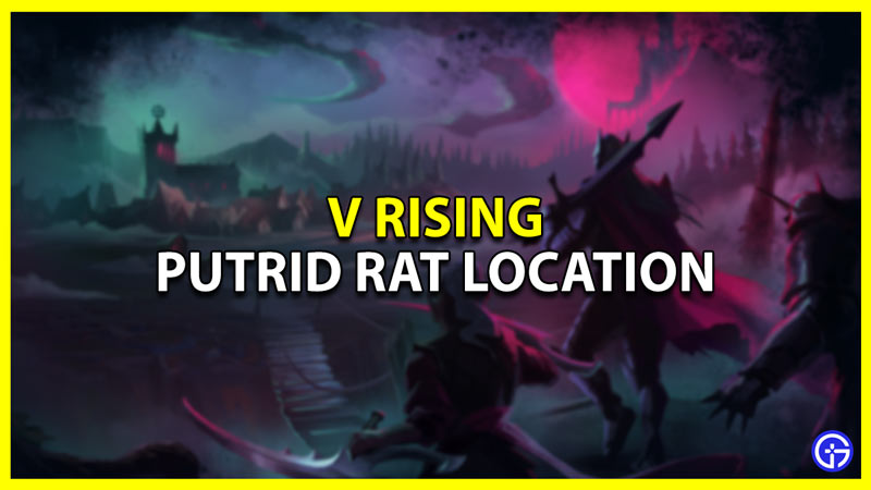v rising putrid rat location and where to find it