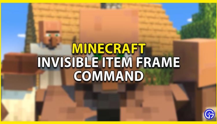 invisible item frame command nintendo switch