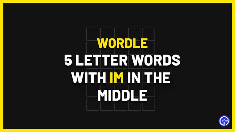 5 Letter Words With IM In The Middle wordle
