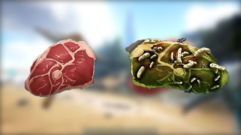How to Make Meat Spoil Faster in ARK: Survival Evolved