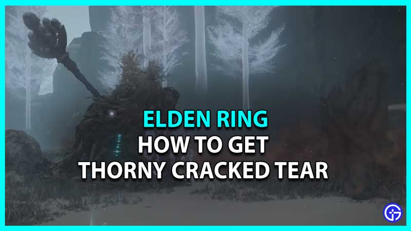 Find & Get Thorny Cracked Tear in Elden Ring