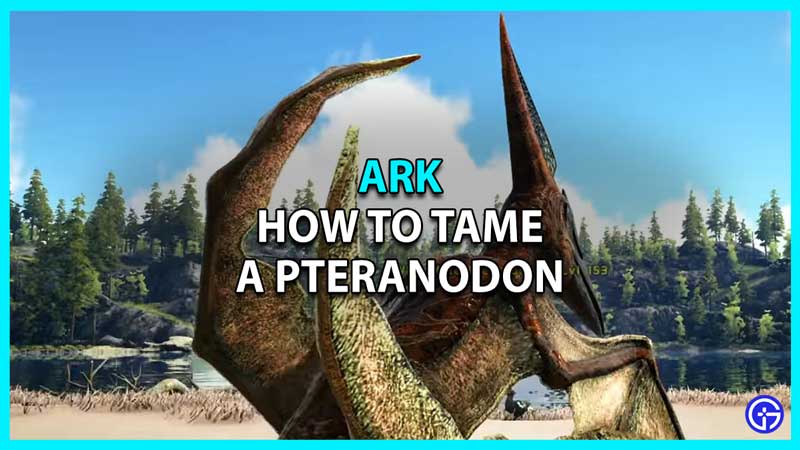 How to Tame Pteranodon in Ark