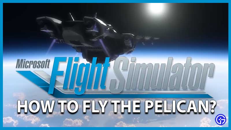How to Fly the Pelican Flight Simulator