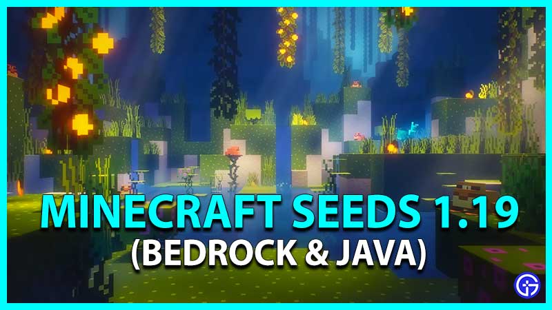 Top 10 Best Minecraft Seeds 1.19 Bedrock & Java