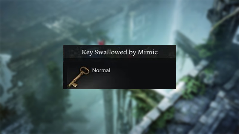 What Does The Key Swallowed By Mimic Do In Lost Ark