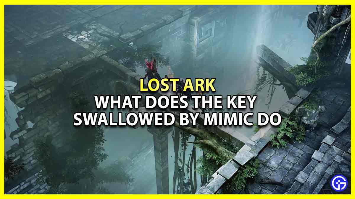 What Does The Key Swallowed By Mimic Do